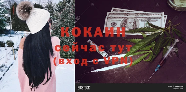 дживик Белоозёрский