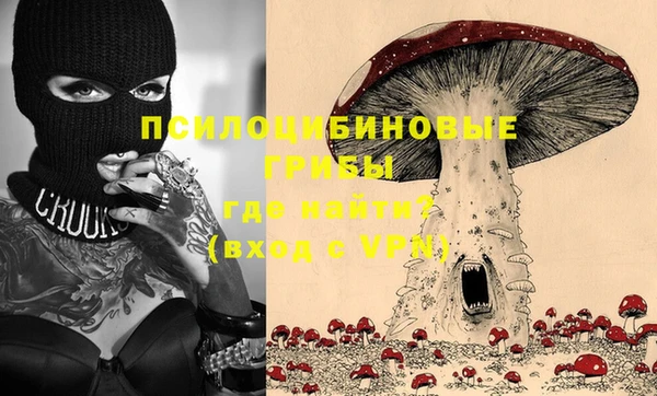 дживик Белоозёрский