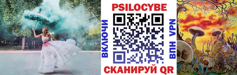 нарко площадка как зайти  Мариинский Посад  Псилоцибиновые грибы MAGIC MUSHROOMS 